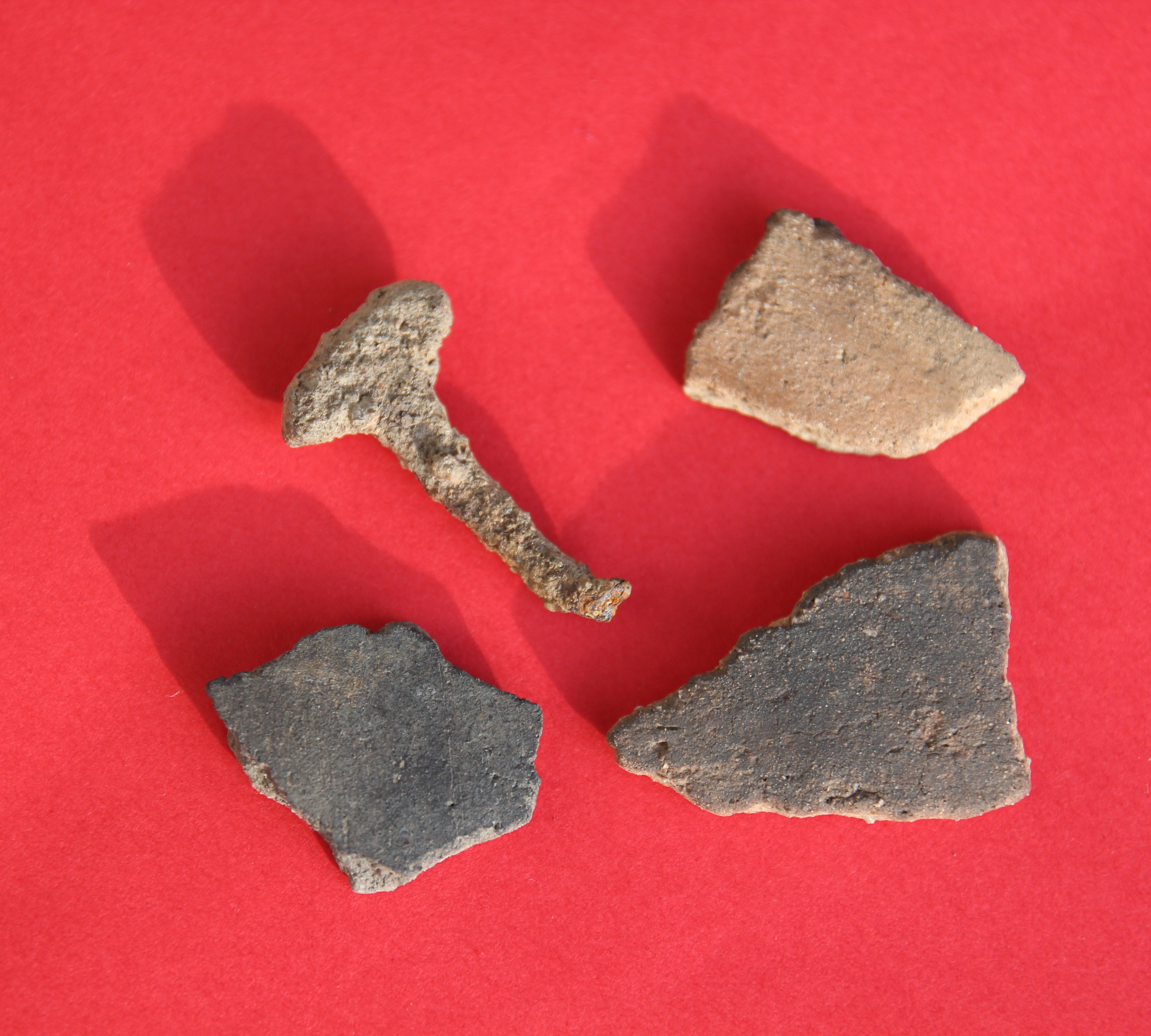 Geländeeinschnitt im Wald