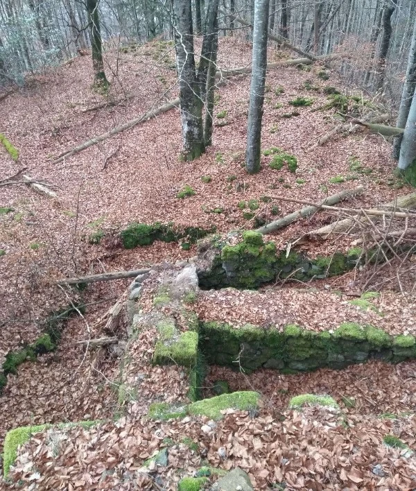 Mauerreste im Laub