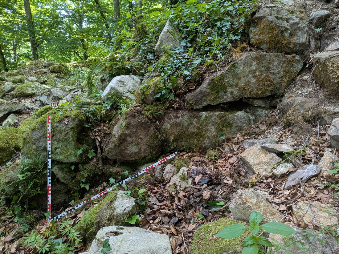 Mauerstumpf mit Bewuchs